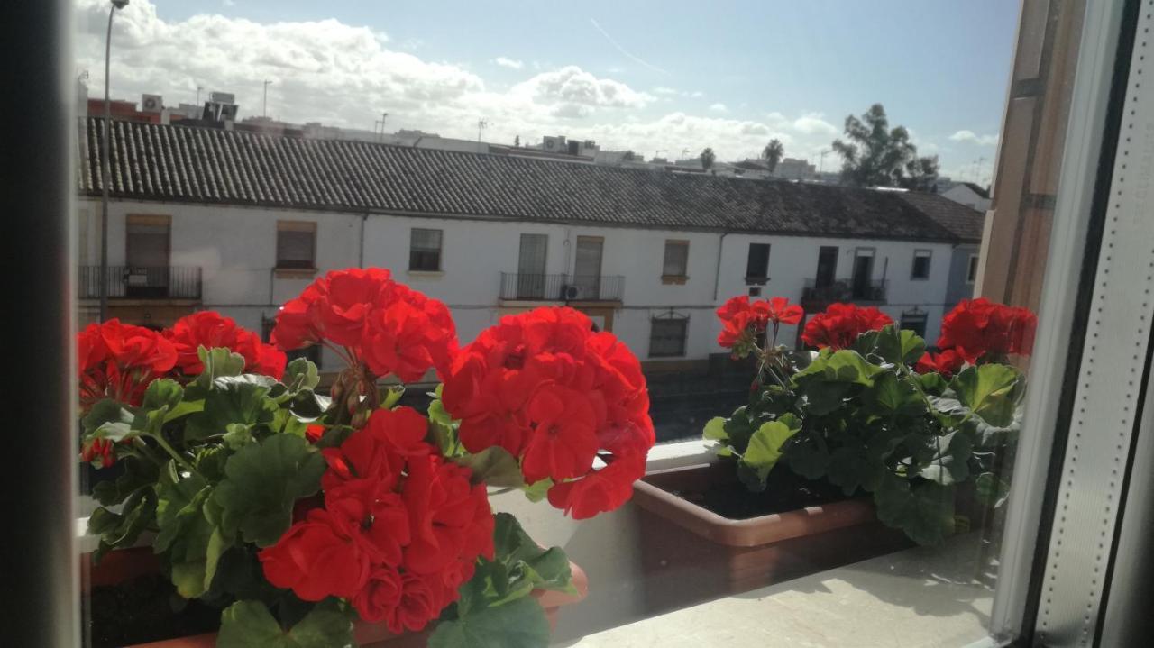 Hotel Abadi Córdoba Eksteriør billede